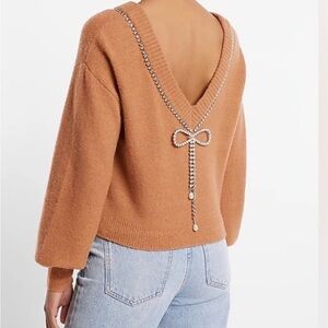 Express Brown V-Neck Sweater with Pearl Accents